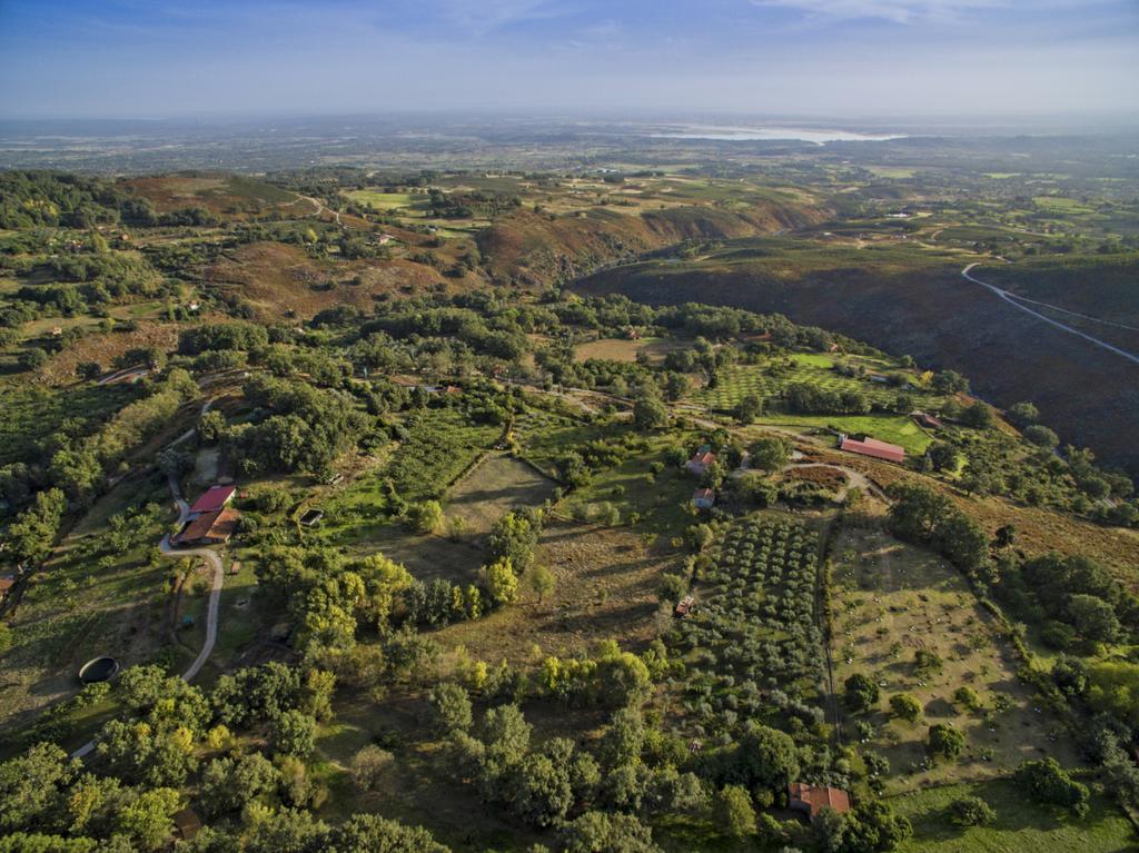 El Vergel de Chilla son 3 alojamientos Abejas 1 Abejas 2 y Libélula Candeleda Extérieur photo